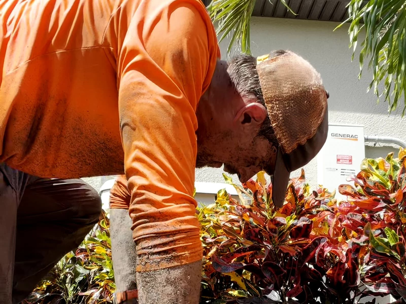 Alex on his knees planting a croton bed